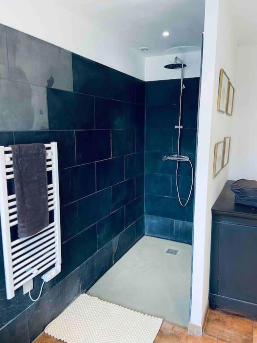 Maison Climatisee Avec Stationnement Et Wifi Bram Екстер'єр фото